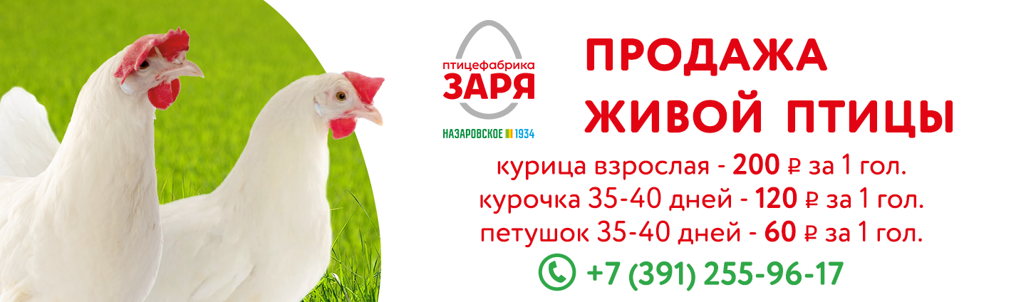Слайдер 3