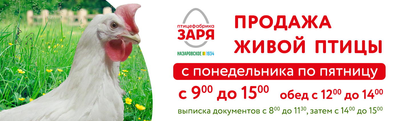 Слайдер 1